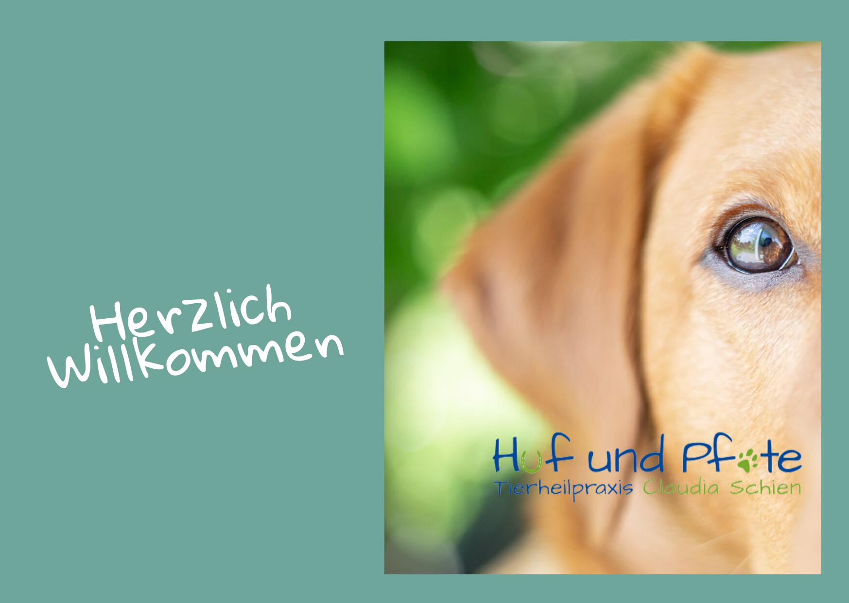 EM für Tiere - mach mit! EM für Tiere - mach mit!