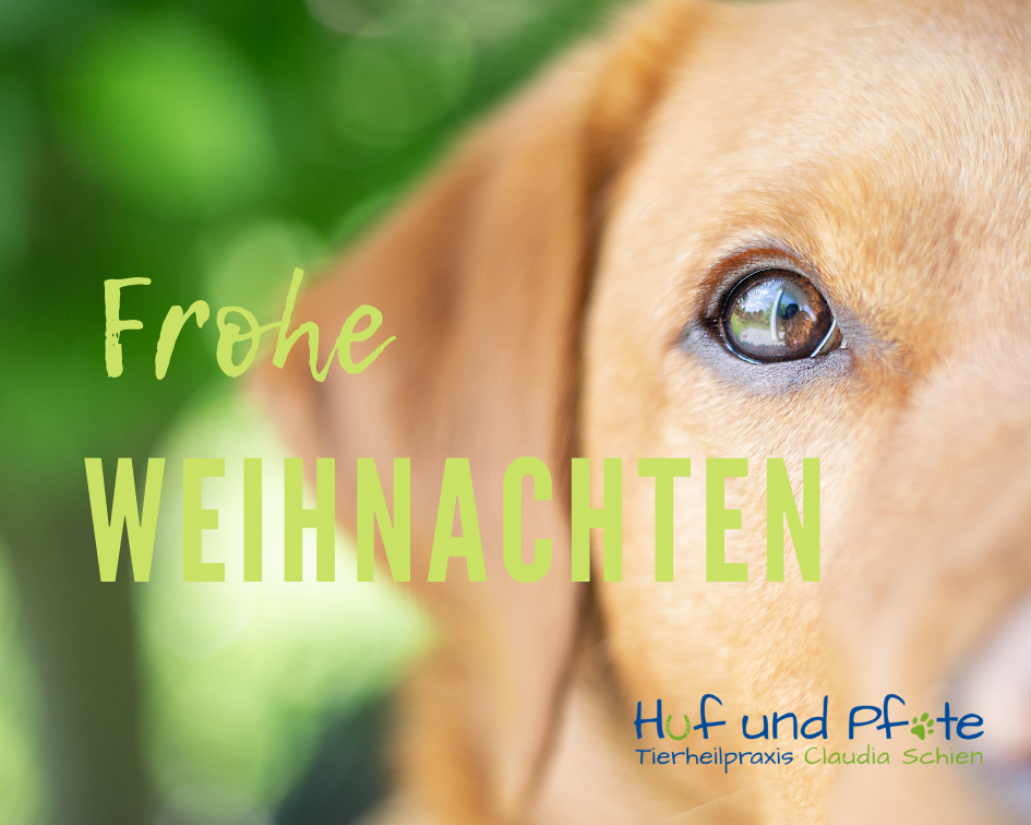 Huf und Pfote wünscht frohe Weihnachten Huf und Pfote wünscht frohe Weihnachten