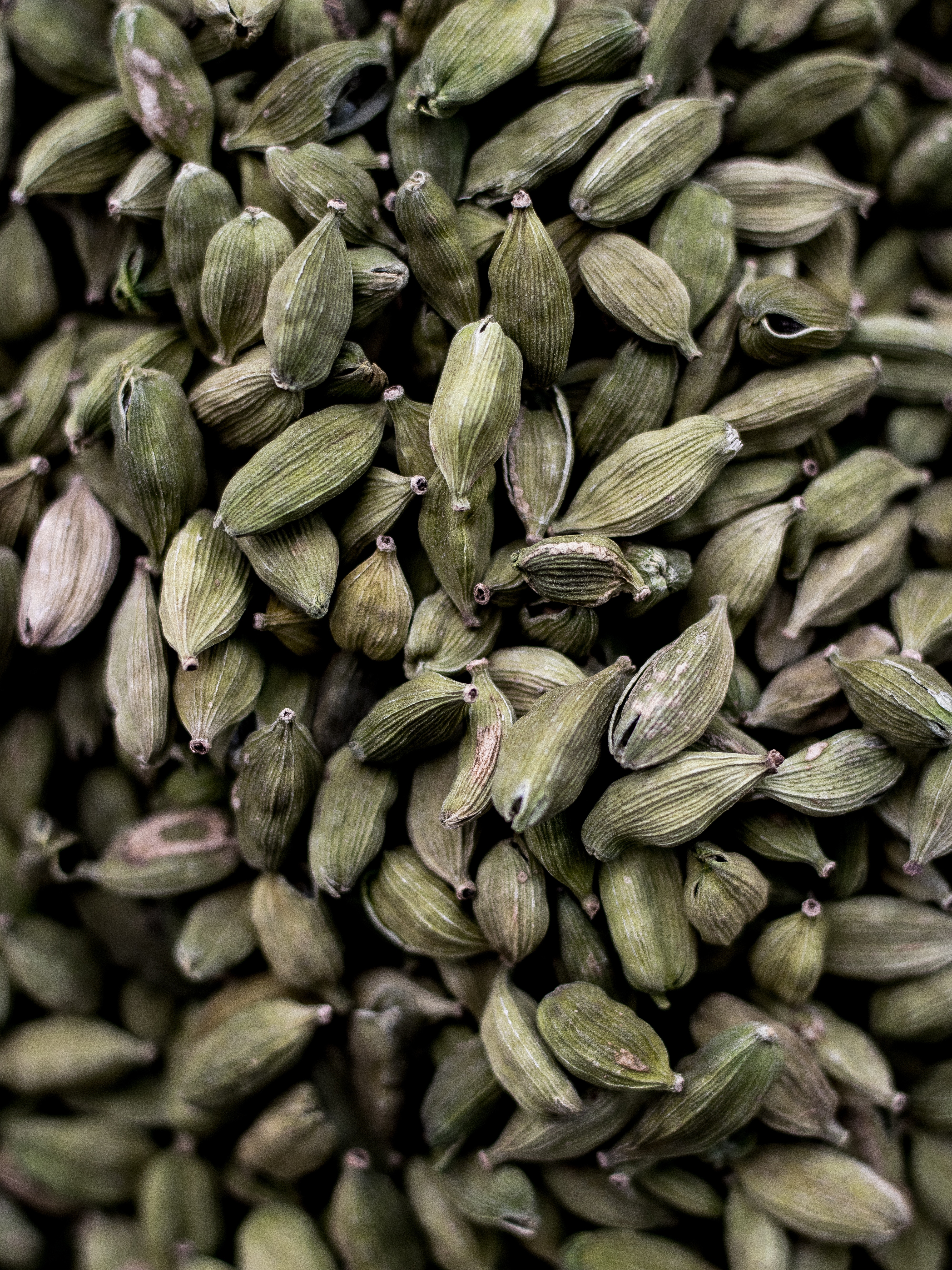 Anis - aromatisch & wirkungsvoll Anis - aromatisch & wirkungsvoll