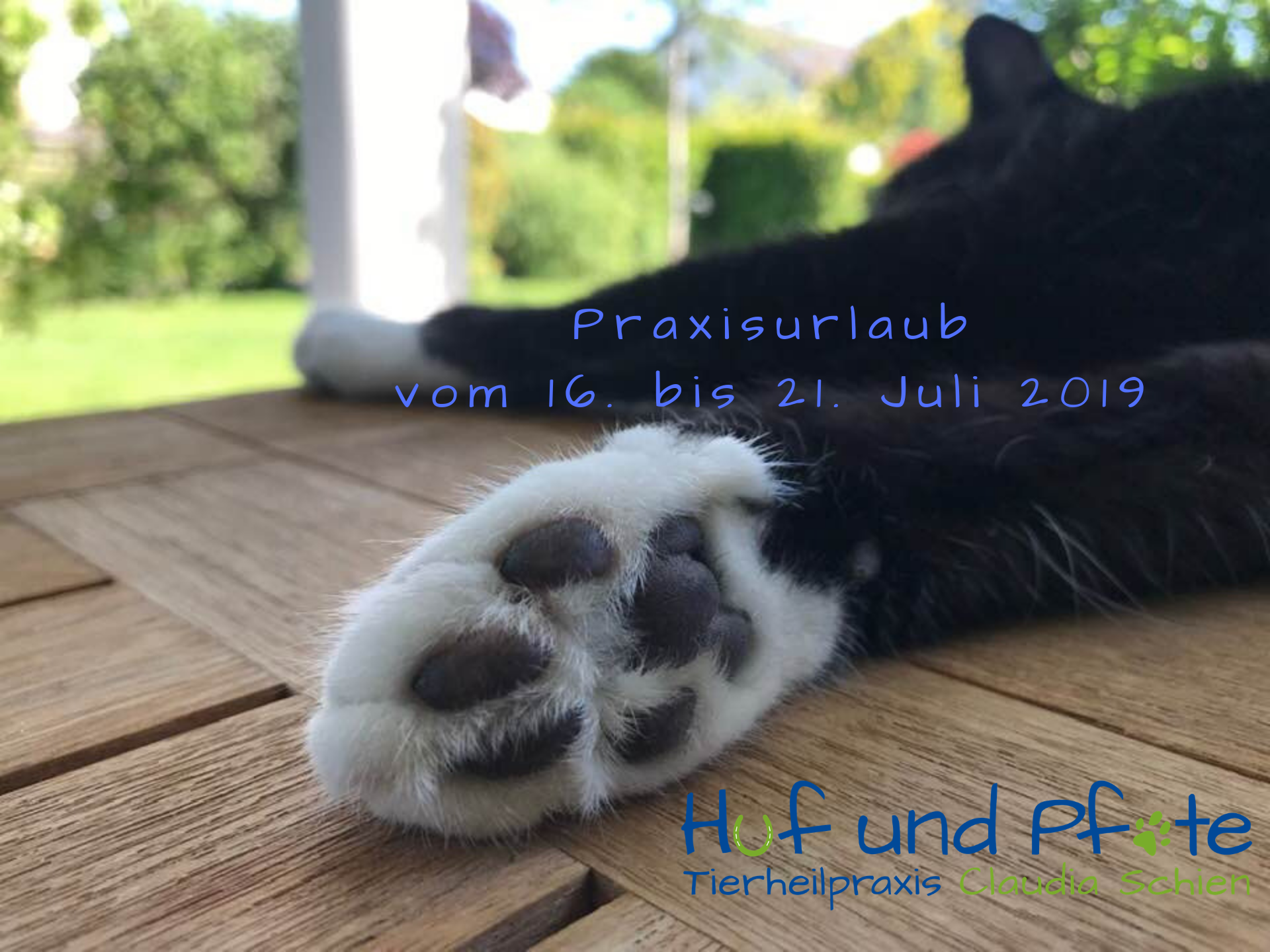 Praxisurlaub vom 16. bis 21. Juli 2019 Praxisurlaub vom 16. bis 21. Juli 2019