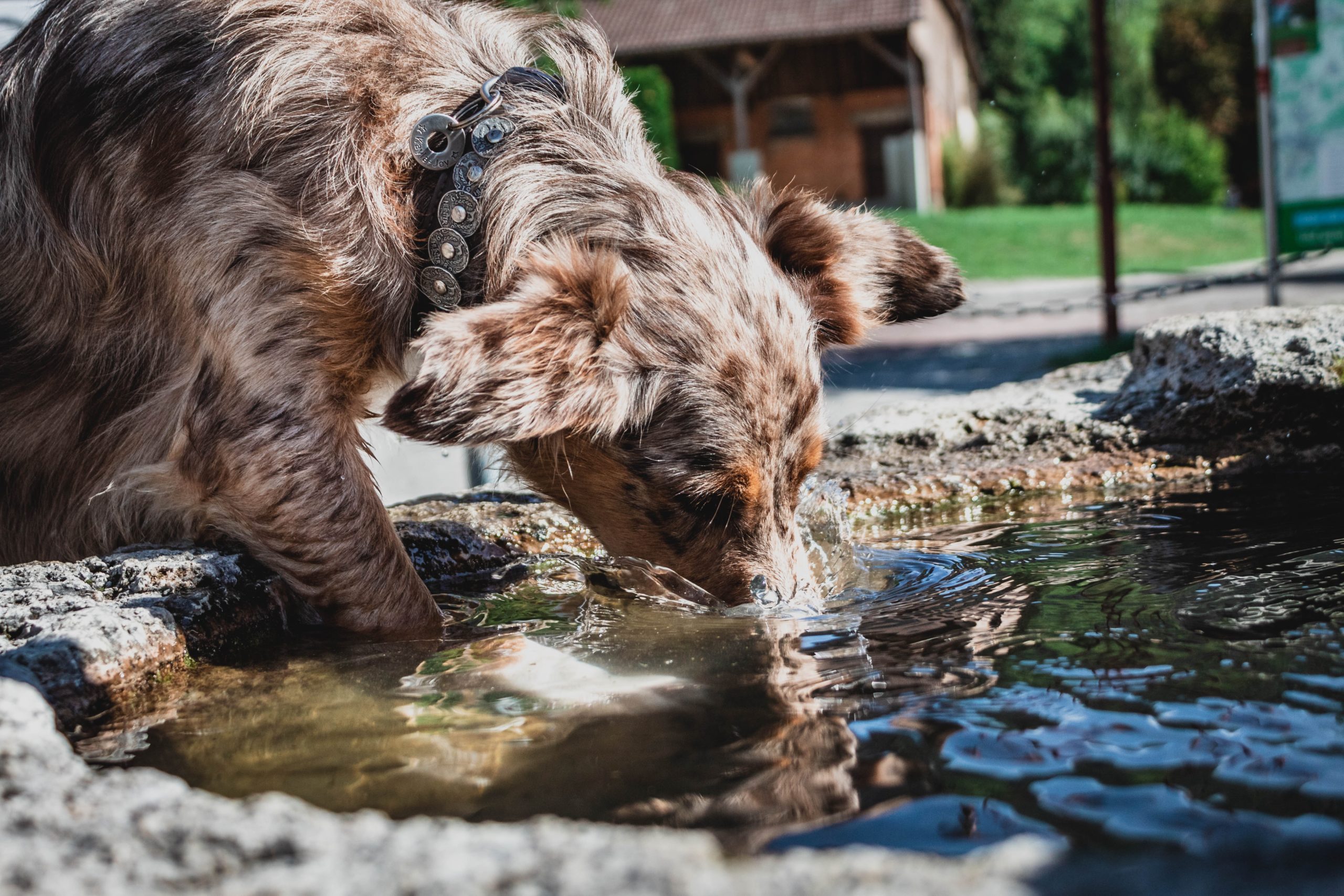6 Trink-Tipps fürs Mehr-Trinken 6 Trink-Tipps fürs Mehr-Trinken