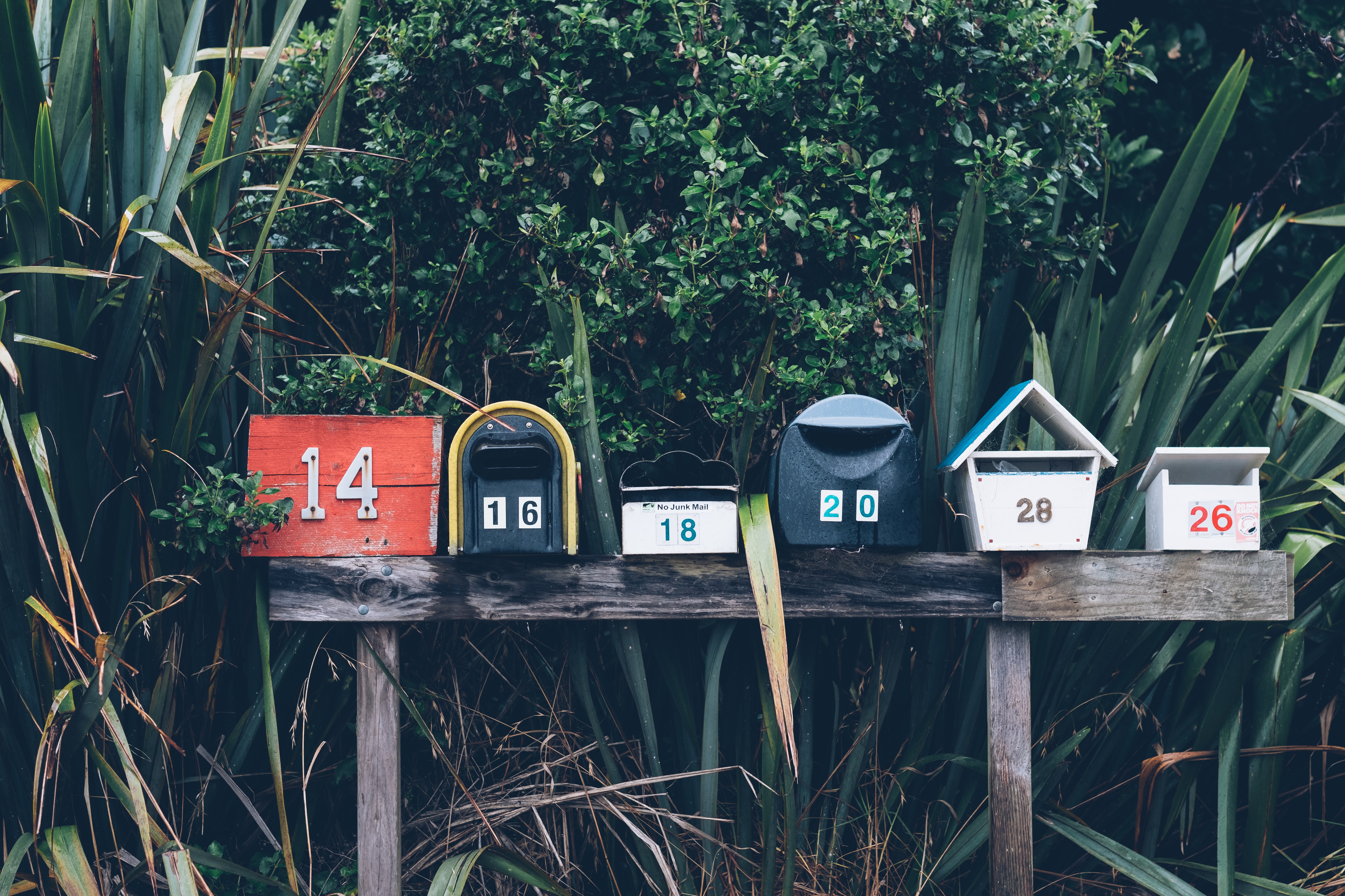 Huf und Pfote-Newsletter - der nächste Huf und Pfote-Newsletter - der nächste