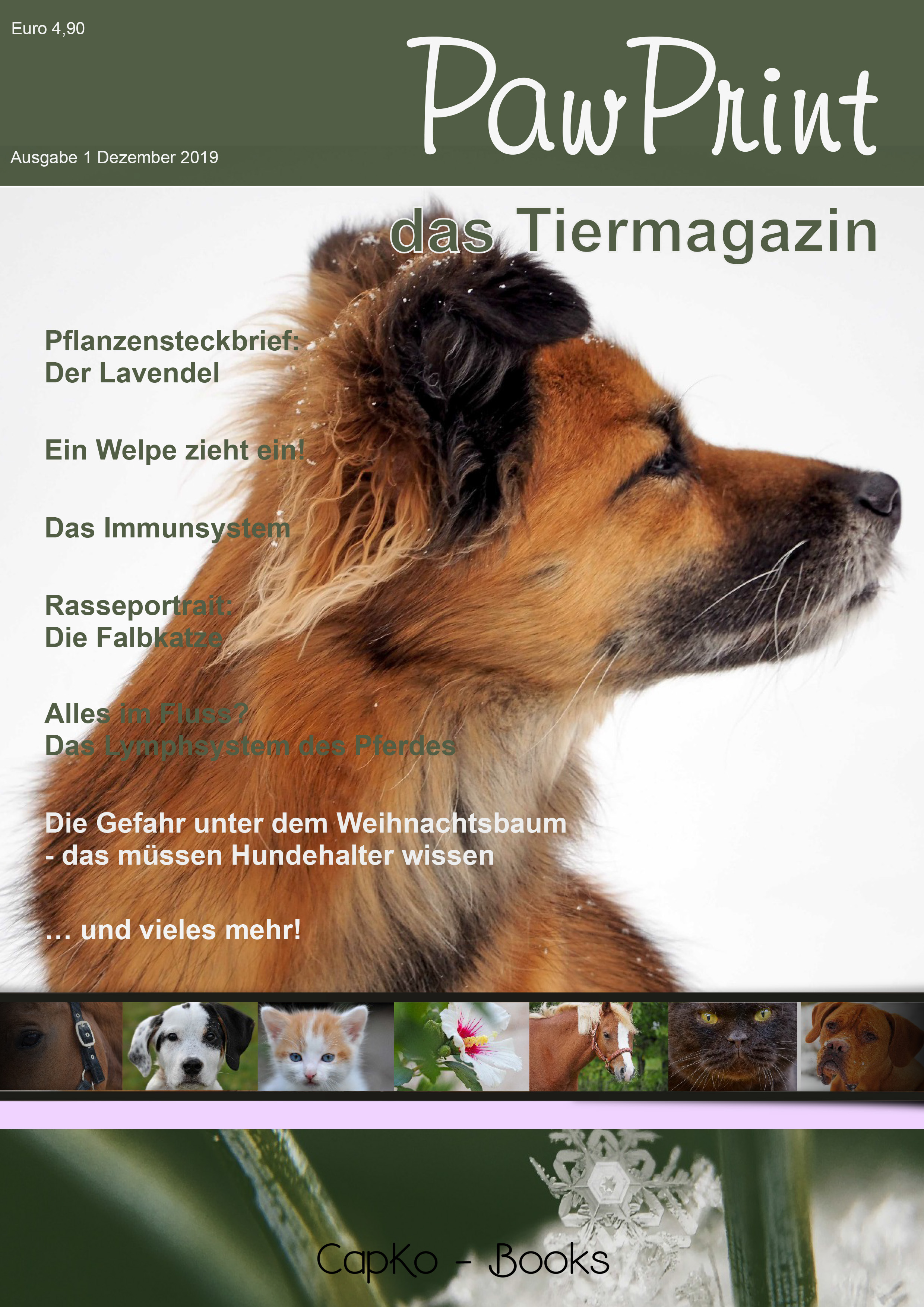 PawPrint - das neue Tiermagazin PawPrint - das neue Tiermagazin