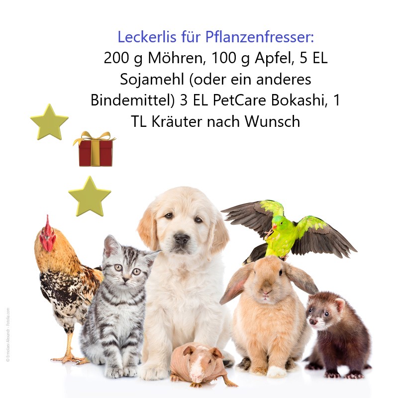 Pflanzliche Leckerlis - einfach selbstgemacht Pflanzliche Leckerlis - einfach selbstgemacht