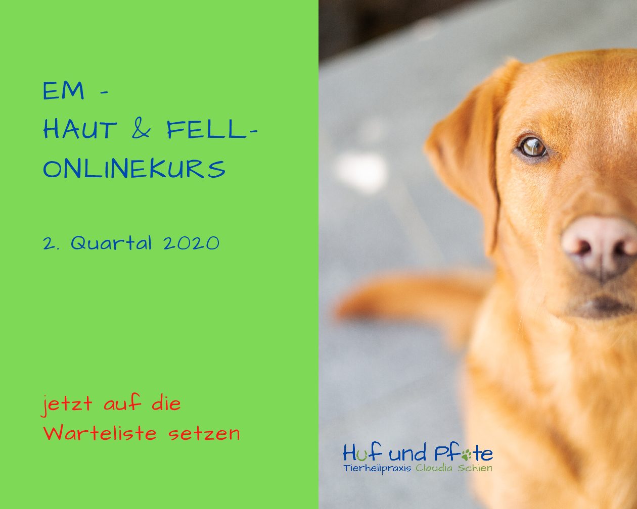 EM - der Haut & Fell-Onlinekurs EM - der Haut & Fell-Onlinekurs