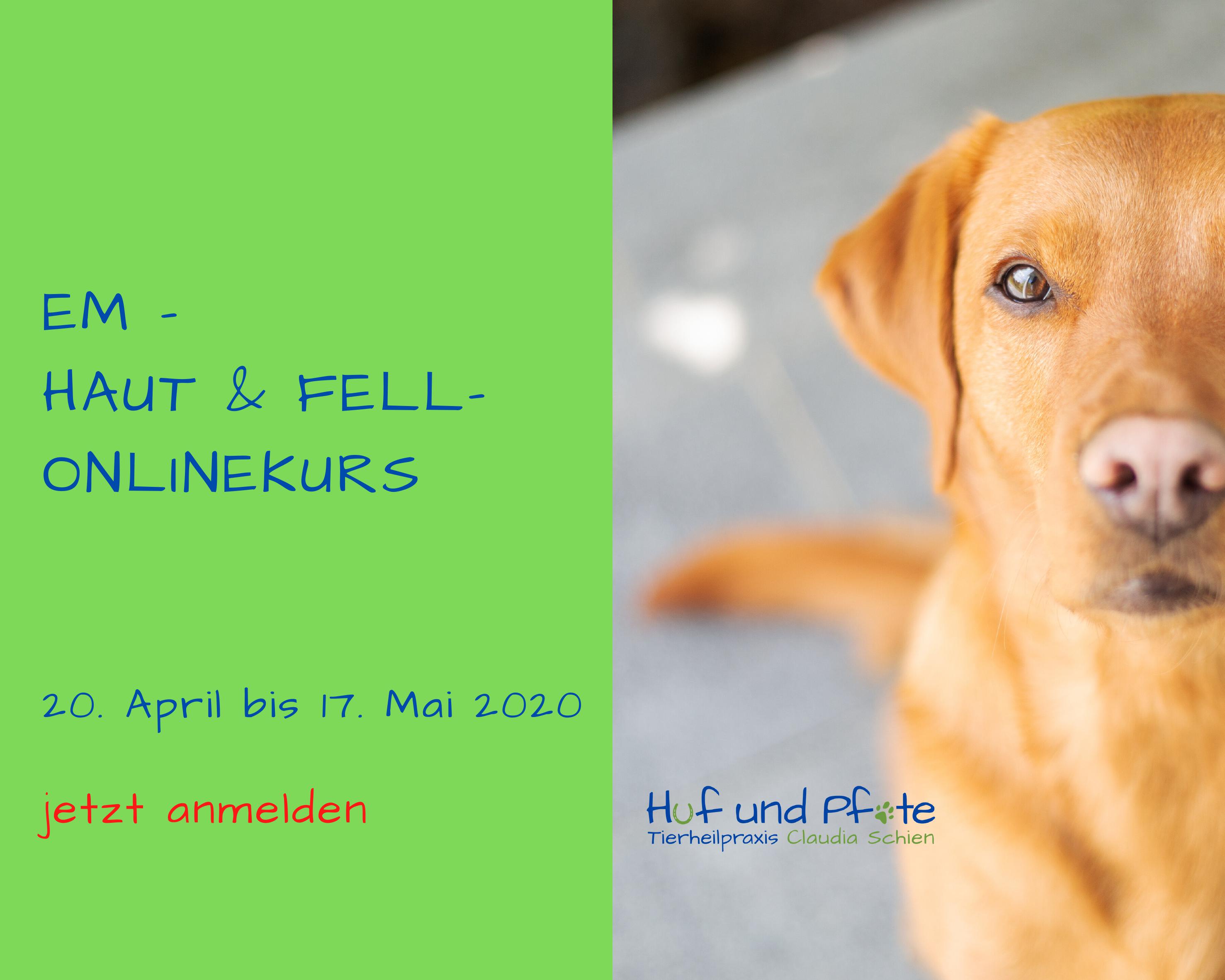 EM - der Haut & Fell-Onlinekurs - jetzt anmelden EM - der Haut & Fell-Onlinekurs - jetzt anmelden