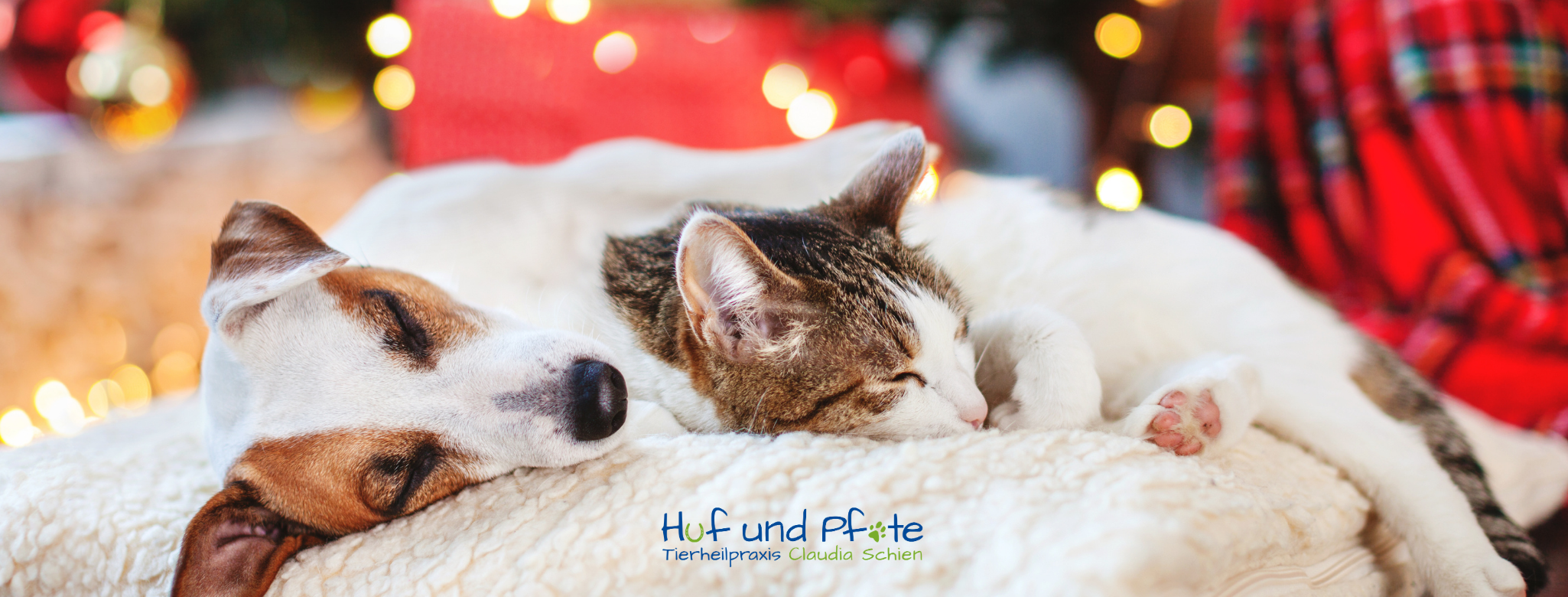 Huf und Pfote wünscht frohe Weihnachten ⭐ Huf und Pfote wünscht frohe Weihnachten ⭐