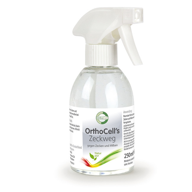 OrthoCell´s Zeckweg